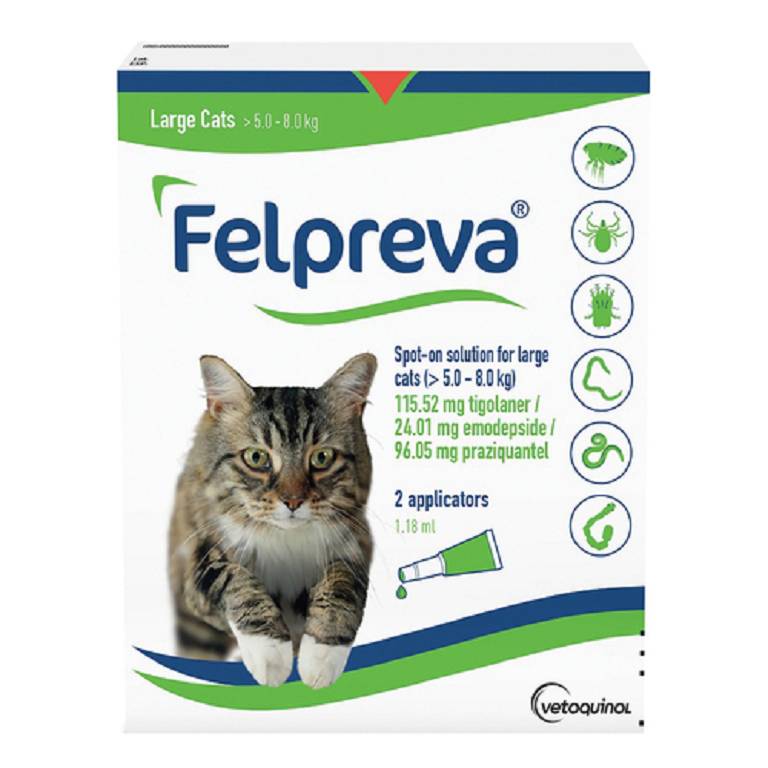 FELPREVA*2APP 5,0-8,0KG GATTI